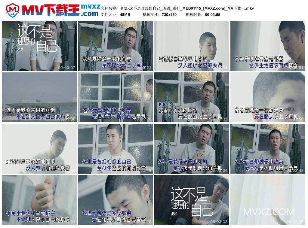 老黑-这不是理想的自己_国语_流行_MED01115